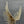 Load image into Gallery viewer, Mid-Century Modern Eagle Bird Sculpture by Curtis Jere, c.1960’s