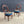 Load image into Gallery viewer, Pair of American Antique Mahogany Carved Side Chairs, c.1930’s