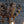 Spanish Colonial Revival Five-Light Wrought Iron Chandelier, c.1940's