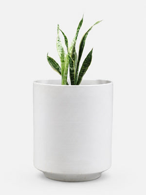 Mid Century Modern White Glazed Ceramic Planter, c.1960’s