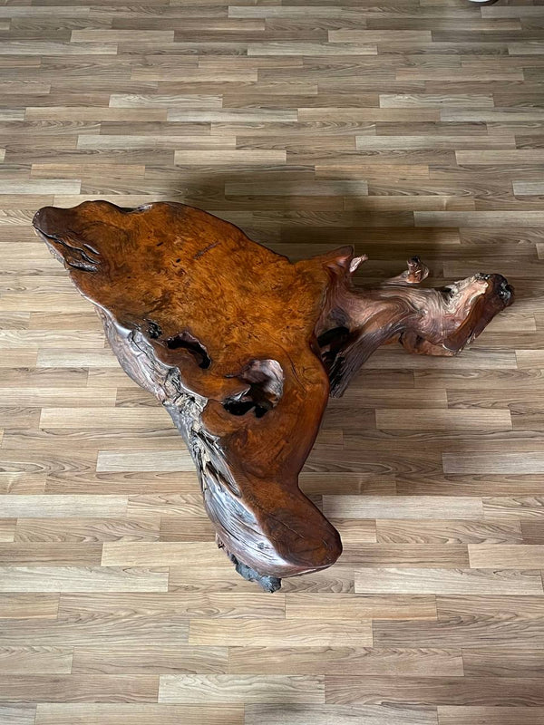 Mid-Century Hand-Carved Live Edge Redwood Burl Root Coffee Table, c.1960’s