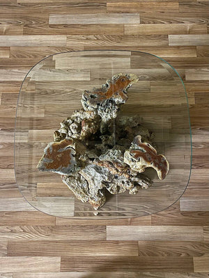 Mid-Century Modern Burl Root Side & Glass Side Table, c.1960’s