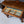 American Renaissance Revival Inlaid Wood Buffet by Union Furniture Co., c.1920's