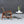 Jens Risom Model-654 Walnut & Woven Lounge Chair for Knoll Studio