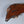 Organic Modern Sculptural Redwood Freeform Coffee Table, c.1960’s