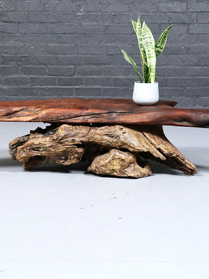 Vintage California Live-Edge Redwood Root Coffee Table, c.1970’s