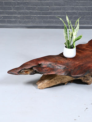 Vintage California Live-Edge Redwood Root Coffee Table, c.1970’s