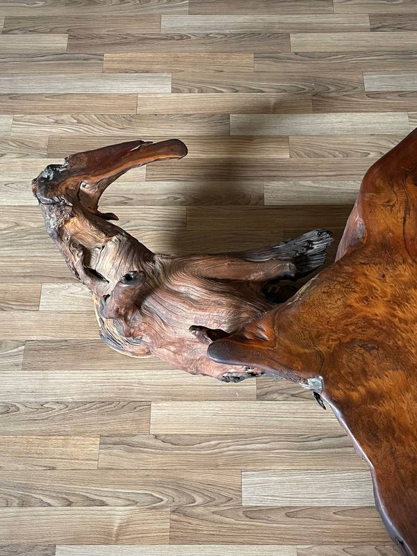 Mid-Century Hand-Carved Live Edge Redwood Burl Root Coffee Table, c.1960’s