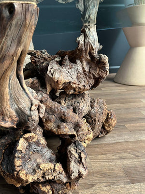 Mid-Century Modern Freeform Rustic Root Coffee Table, c.1970’s