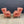 Load image into Gallery viewer, Pair of Antique English Georgian Style Wing High-Back Lounge Chairs, c.1940’s
