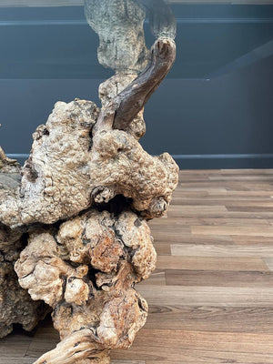 Free Form Drift Wood Side Table with Glass Top, c.1960’s