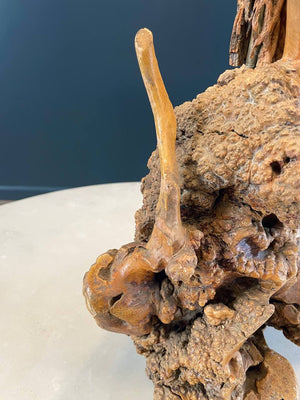 Vintage Farmhouse Live Edge Burl Wood Table Lamp, c.1960’s