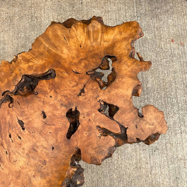 Vintage Burl Root Live Edge Coffee Table, 1970’s