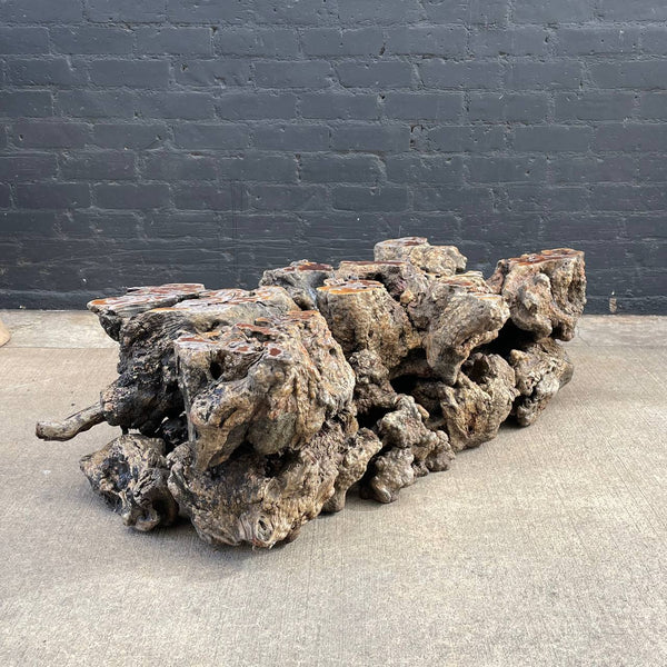 Vintage Burl Root Live Edge Coffee Table, No Glass Top, 1970’s