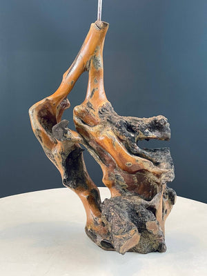 Mid-Century Modern Freeform Rustic Root Table Lamp, c.1960’s