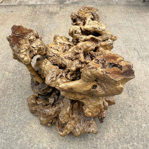 Vintage Burl Wood End / Side Table with Glass Top