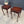 Load image into Gallery viewer, Pair of Antique Mahogany Carved Wood End / Side Tables
