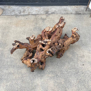 Vintage Natural Burl Root Free-Form Coffee Table