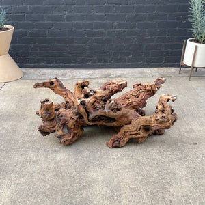 Vintage Natural Burl Root Free-Form Coffee Table