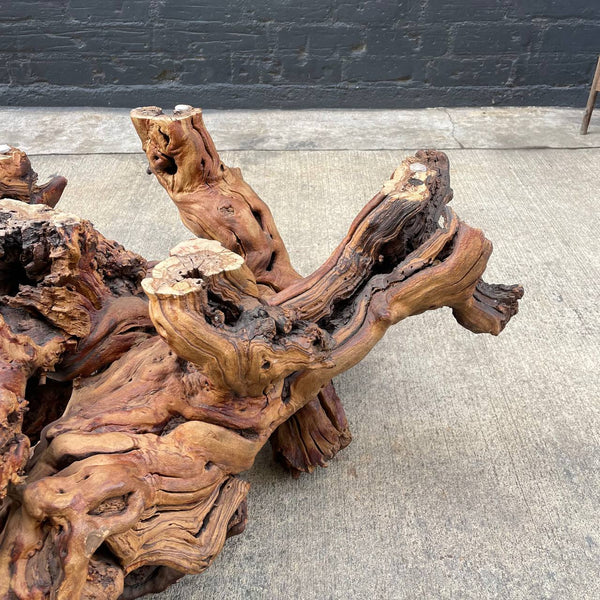 Vintage Natural Burl Root Free-Form Coffee Table