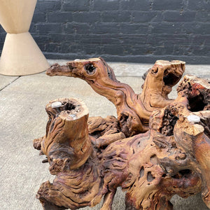 Vintage Natural Burl Root Free-Form Coffee Table