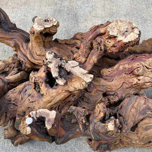 Vintage Natural Burl Root Free-Form Coffee Table