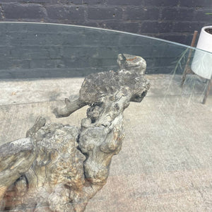 Vintage Natural Burl Root Free-Form Dining Table
