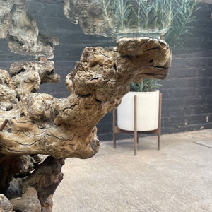 Vintage Natural Burl Root Free-Form Dining Table