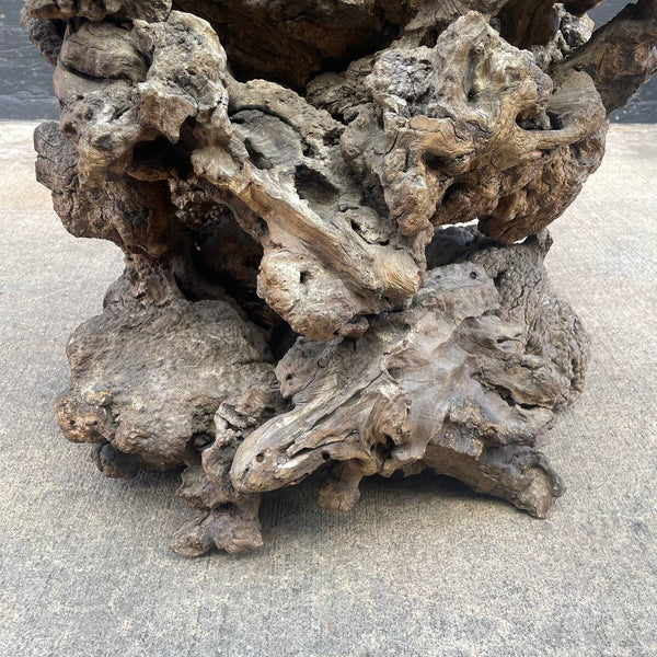 Vintage Natural Burl Root Free-Form Dining Table