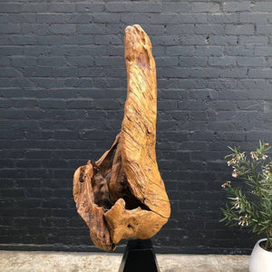 Vintage Drift Wood Sculpture with Pyramid Base