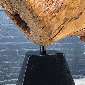 Vintage Drift Wood Sculpture with Pyramid Base