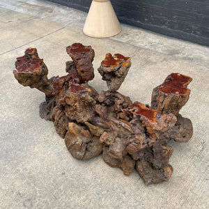 Vintage Free Form Root Coffee Table / no Glass Top