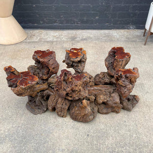 Vintage Free Form Root Coffee Table / no Glass Top