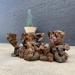 Vintage Free Form Root Coffee Table / no Glass Top