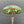Antique Bronze Table Lamp & Original Tiffany Glass Style Shade, c.1930’s