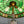Antique Bronze Table Lamp & Original Tiffany Glass Style Shade, c.1930’s