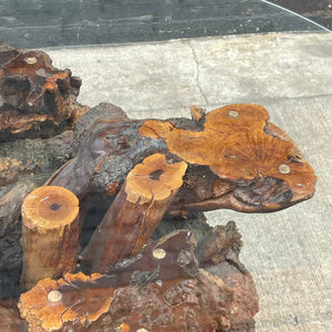 Vintage Drift Wood Root Dining Table with Glass Top, 1970’s