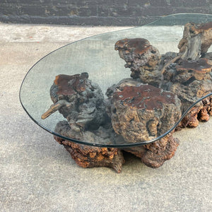 Vintage Free Form Burl Root Coffee Table with Glass Top