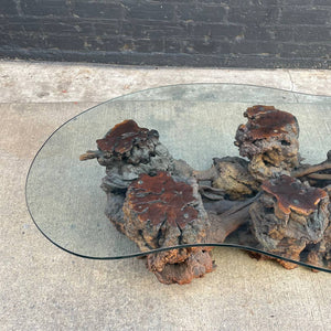 Vintage Free Form Burl Root Coffee Table with Glass Top