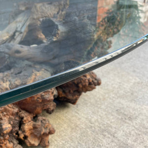Vintage Free Form Burl Root Coffee Table with Glass Top
